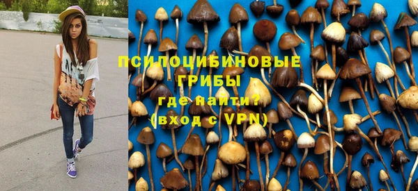 ешки Елабуга