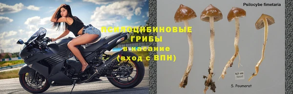 спайс Ельня