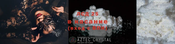 спайс Ельня