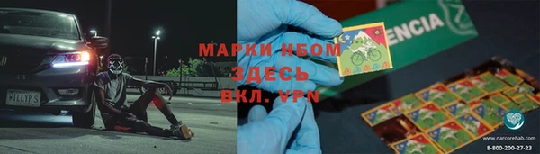 спайс Ельня