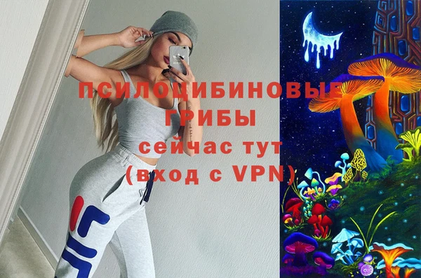ешки Елабуга