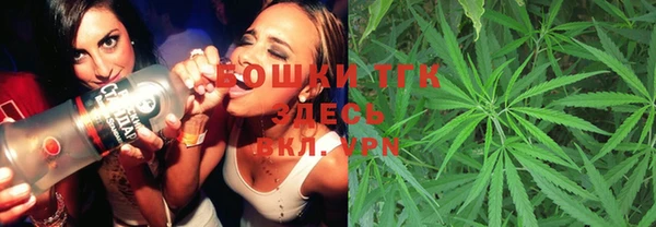ешки Елабуга