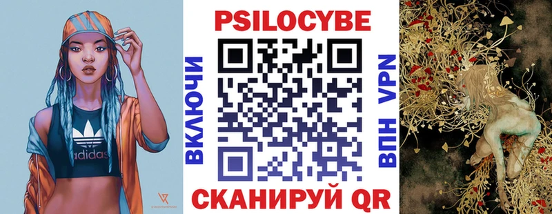 Купить закладки  Духовщина  Псилоцибиновые грибы прущие грибы 